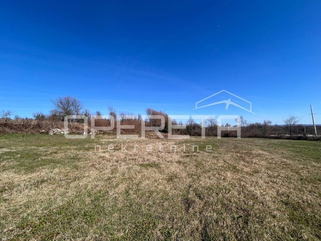 Image 6251047 - 3