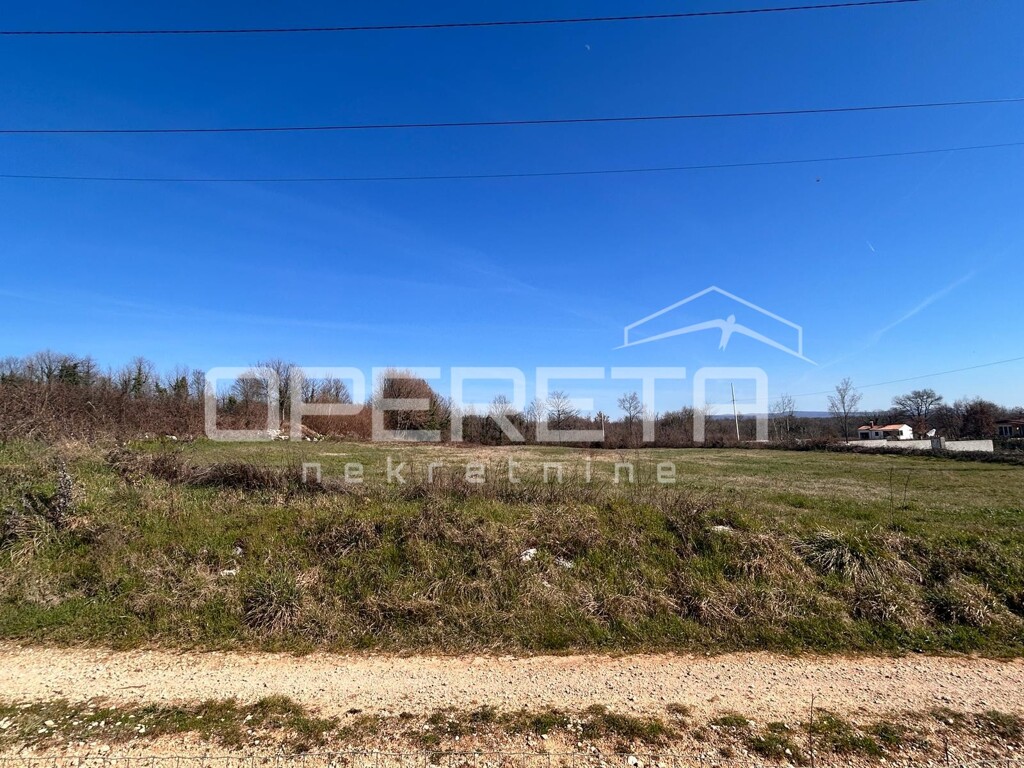 Image 6251047 - 6