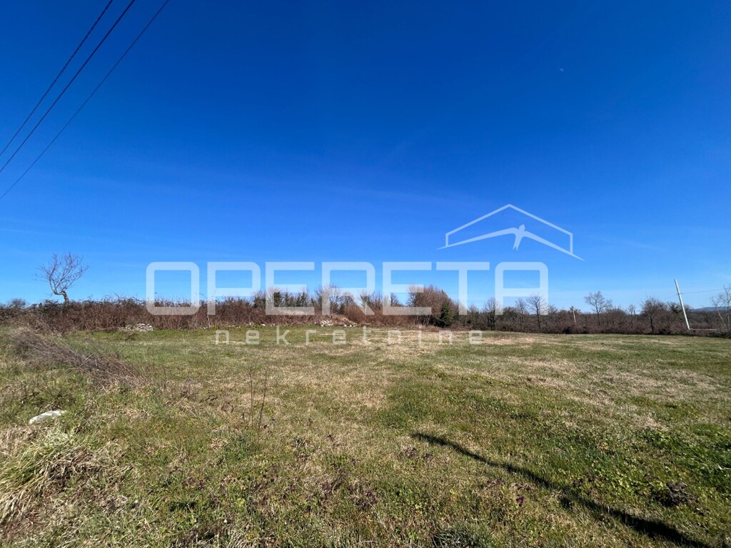 Image 6251047 - 1