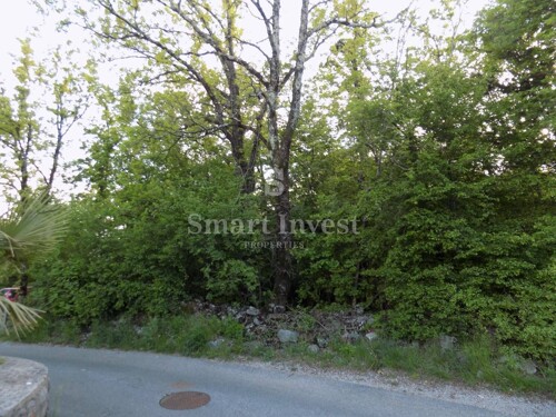 Thumbnail 6251064 - 4