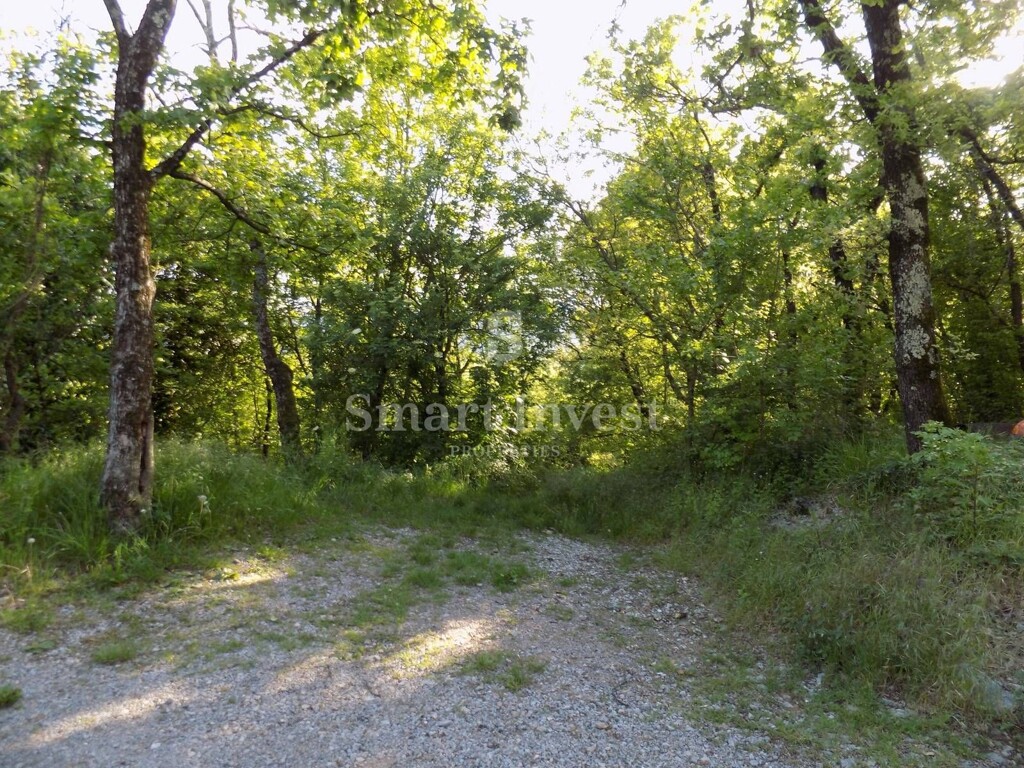 Image 6251064 - 1