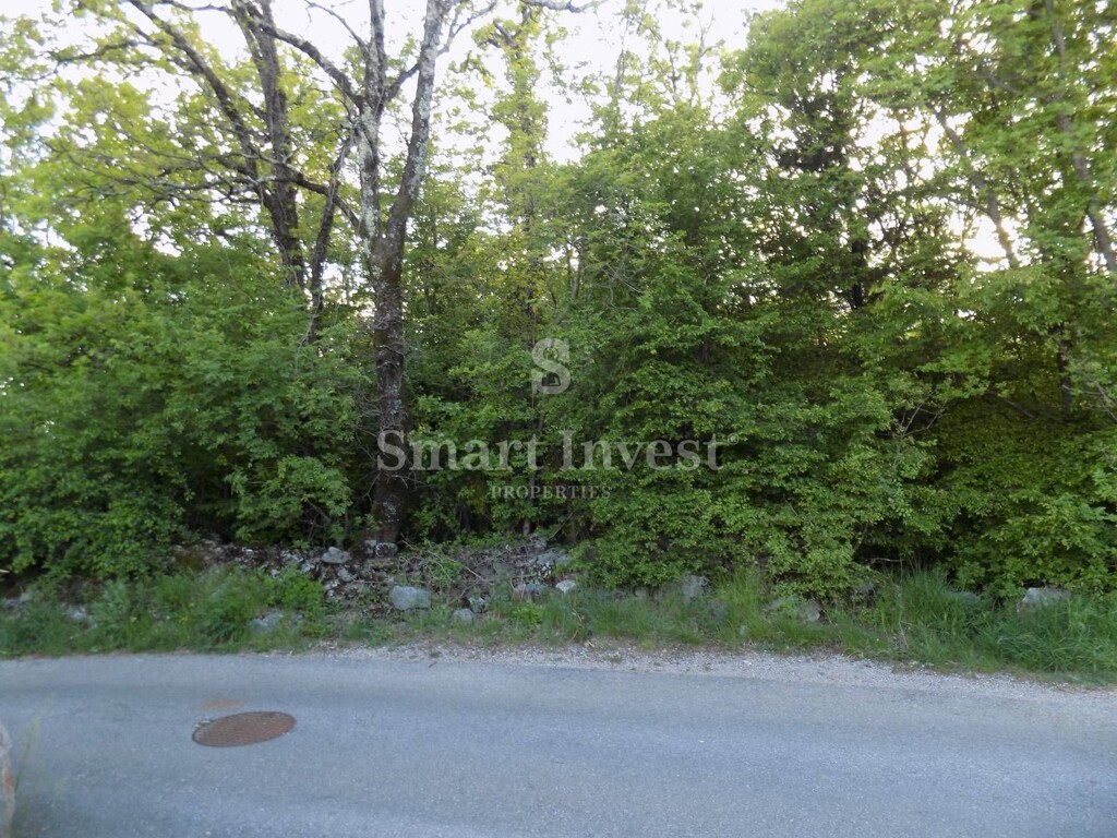 Image 6251064 - 2