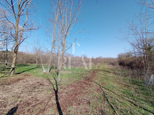 Thumbnail 6251075 - 5