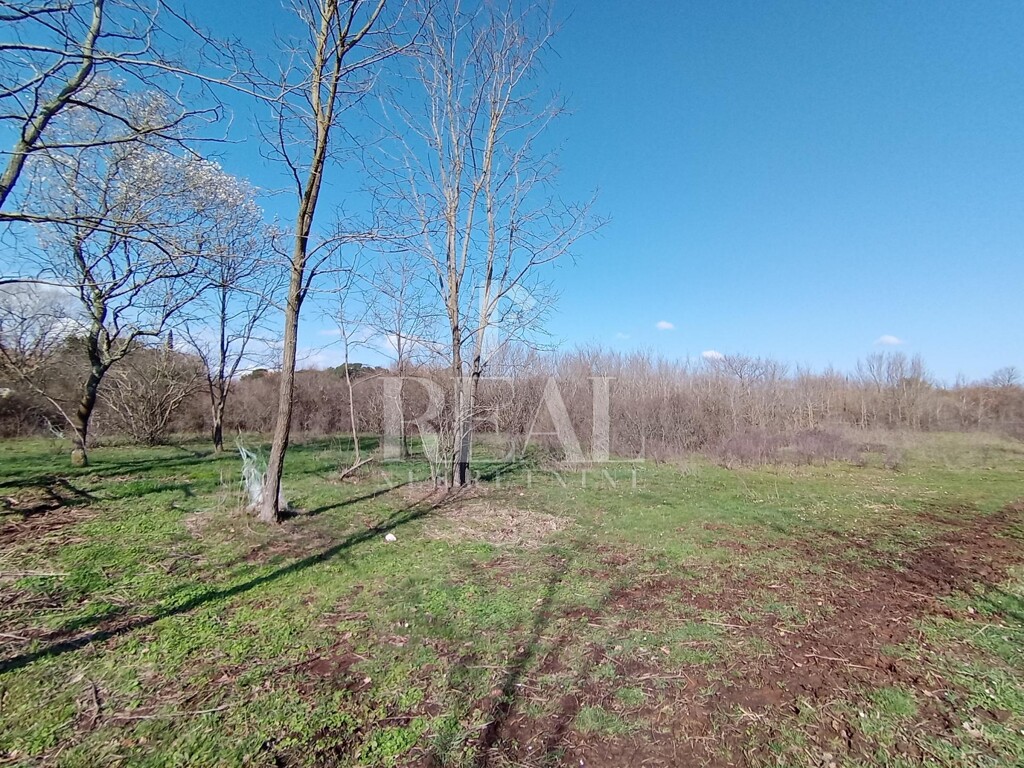 Image 6251075 - 4