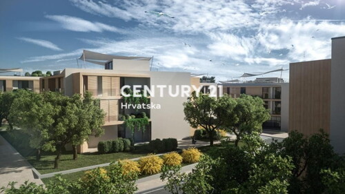 Thumbnail 6251077 - 5