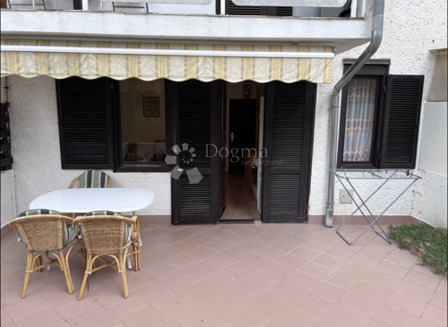 Thumbnail 6251389 - 3