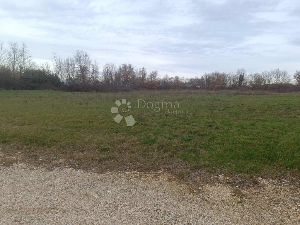 Image 6251400 - 1