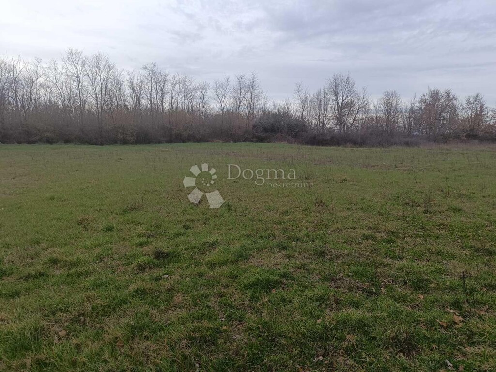 Image 6251400 - 3