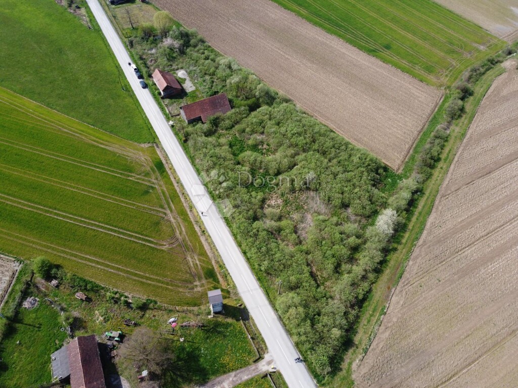 Image 6251410 - 2