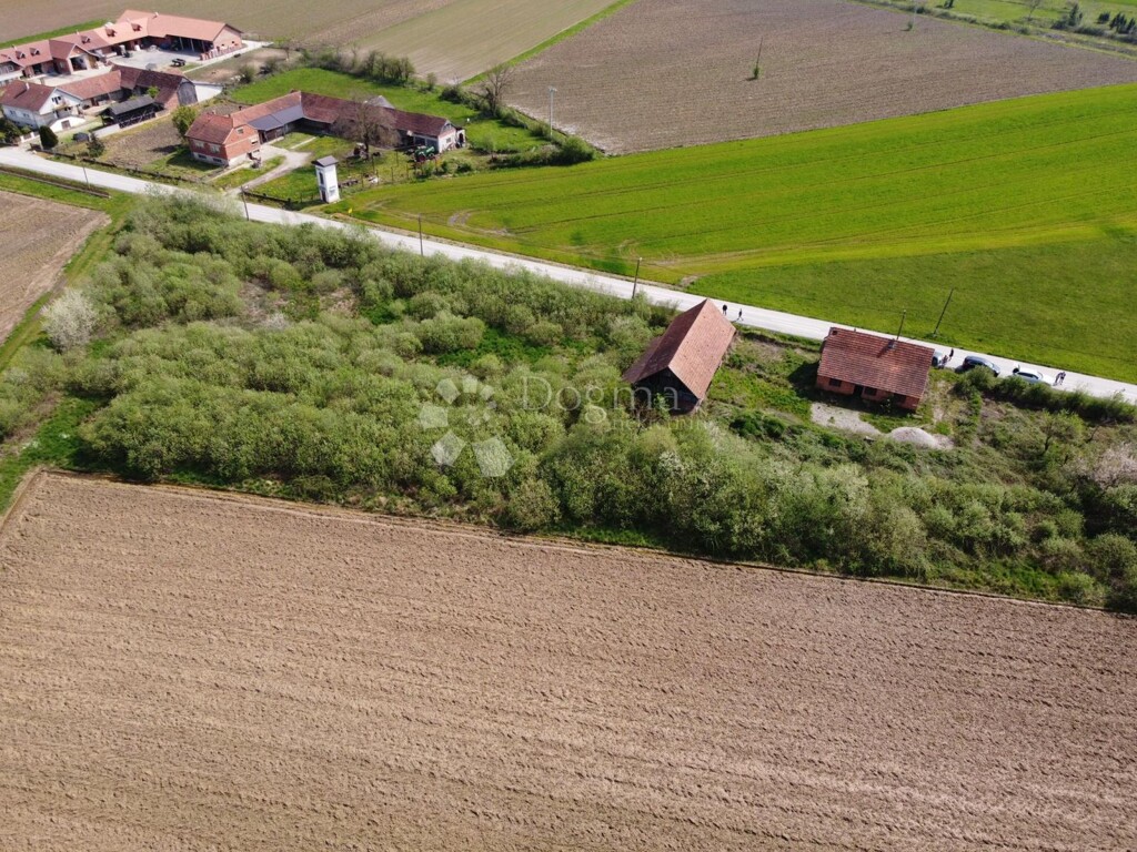 Image 6251410 - 3
