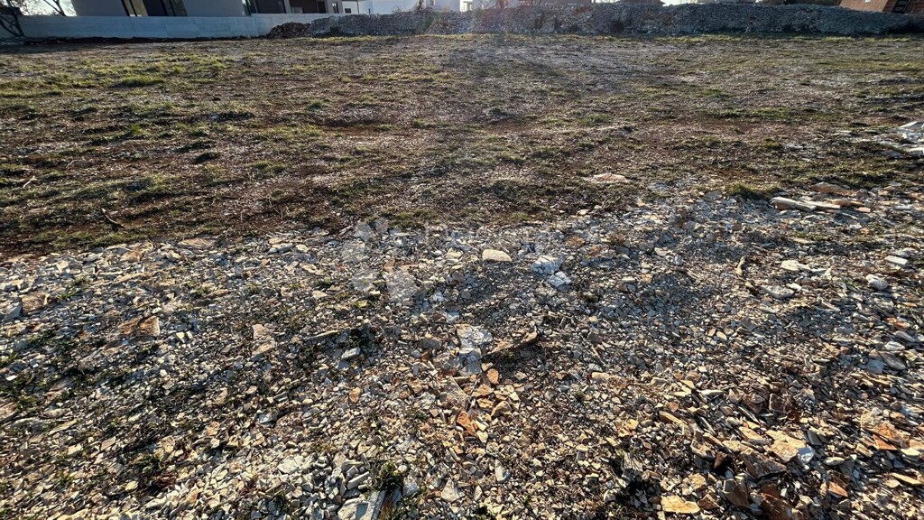 Image 6251425 - 3