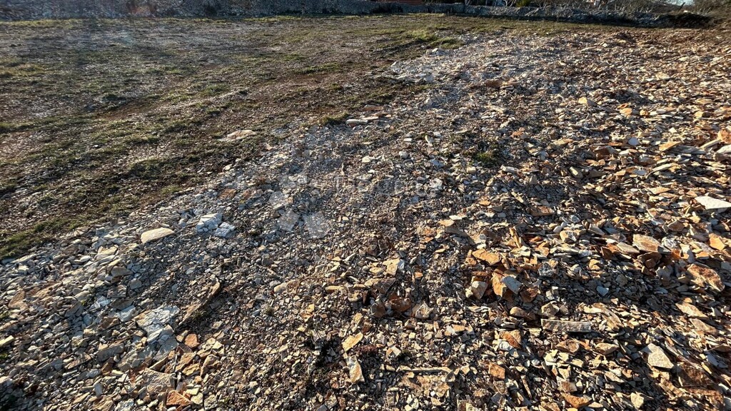Image 6251425 - 4