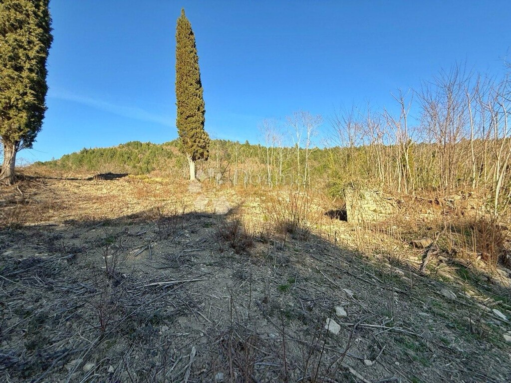 Image 6251431 - 3