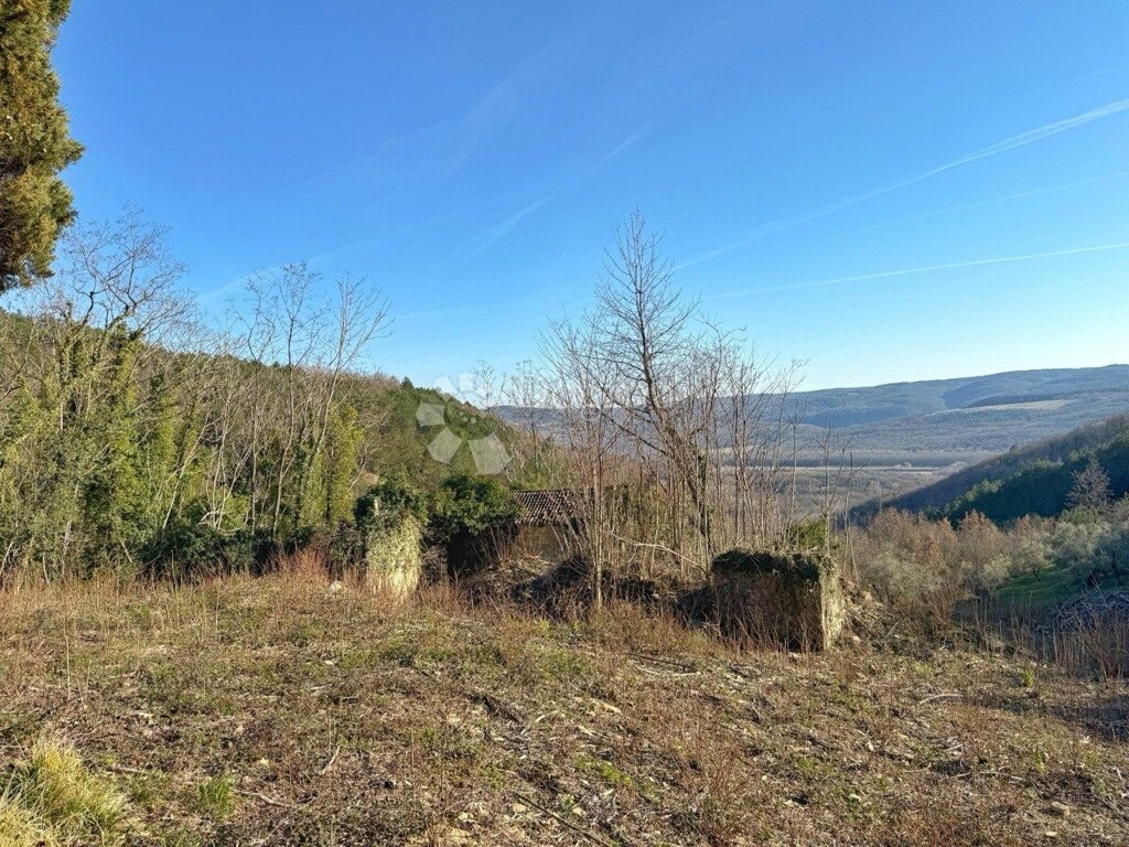 Image 6251431 - 9