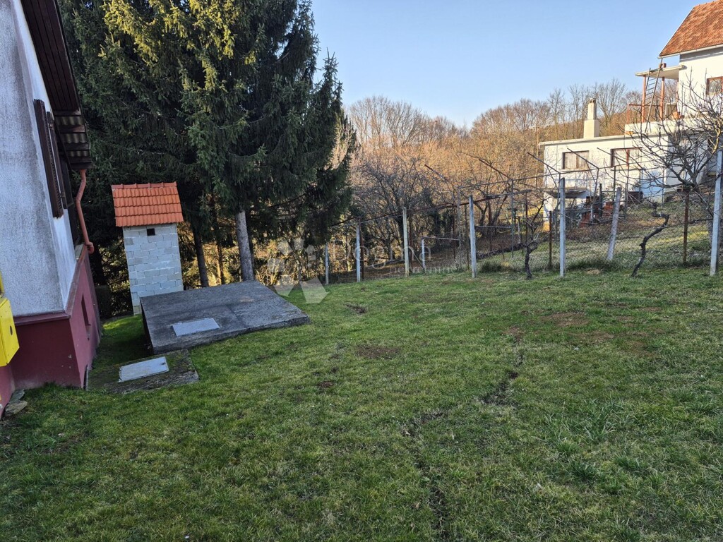 Image 6251432 - 7