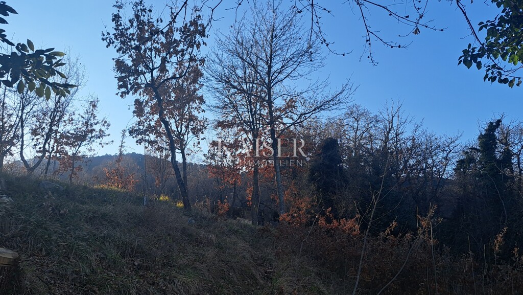Image 6251496 - 3