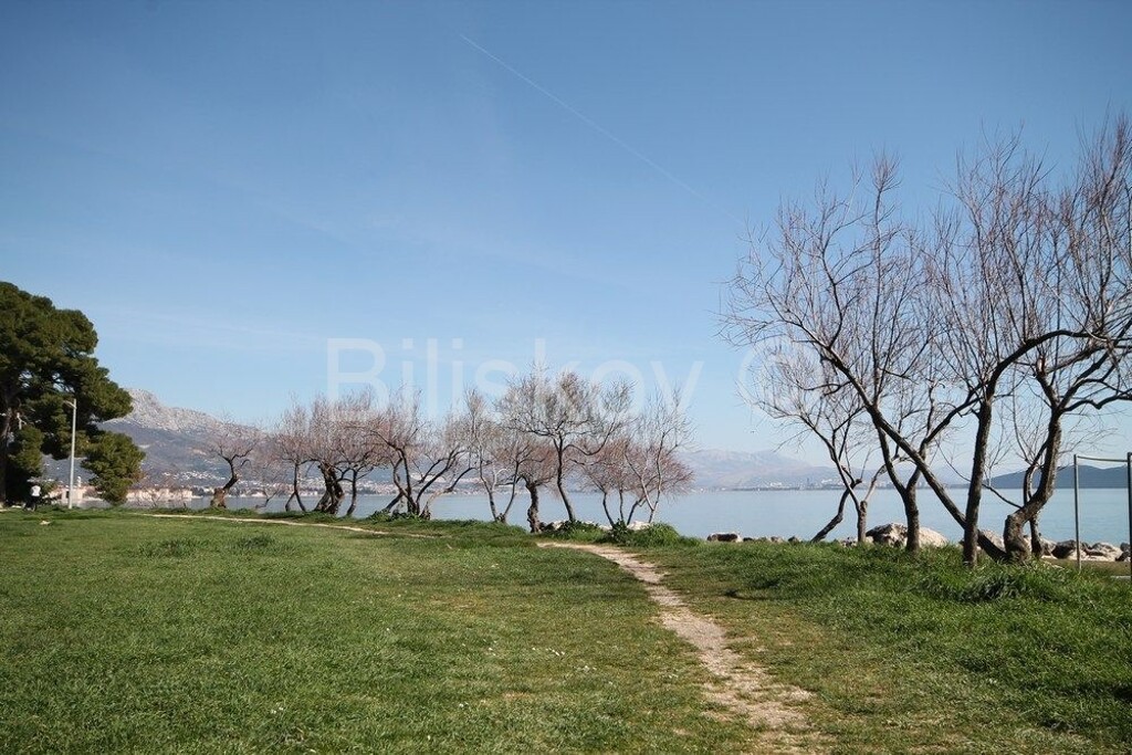 Image 6251527 - 7