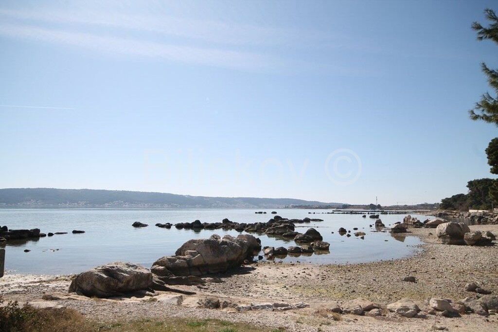 Image 6251527 - 6
