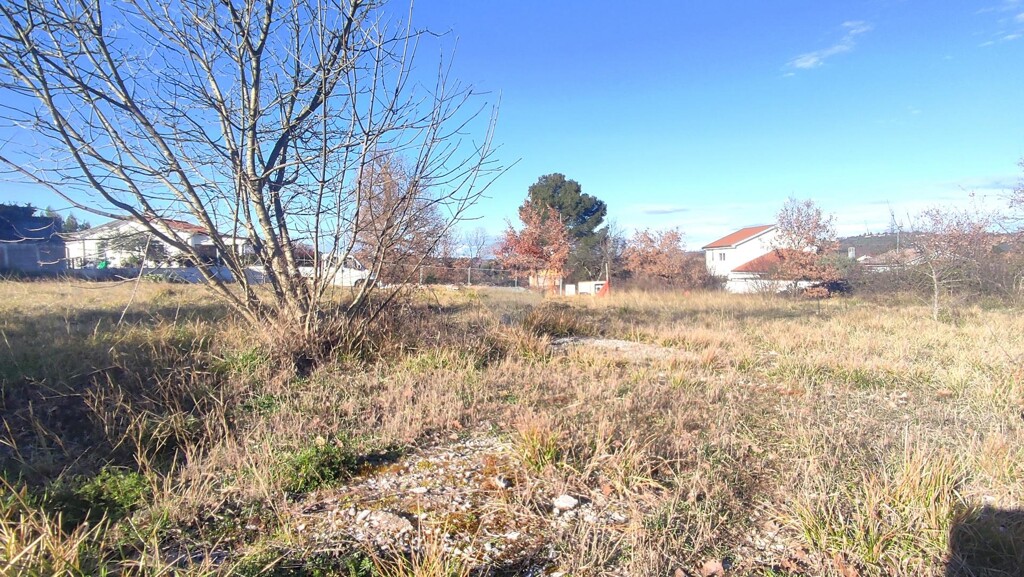Image 6251570 - 2