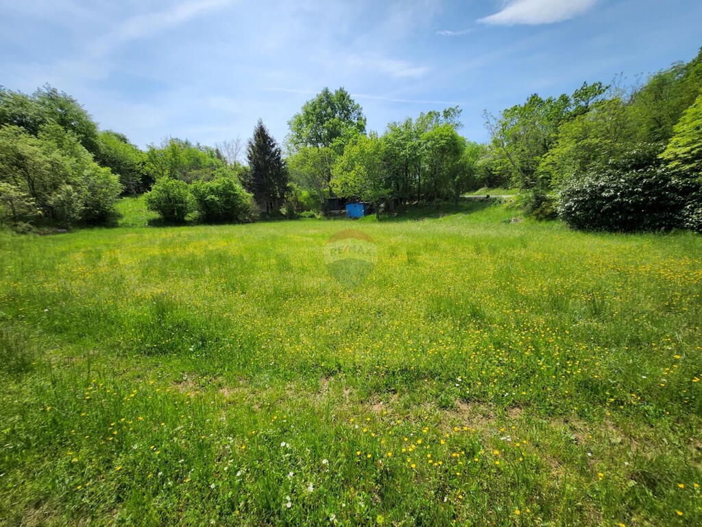 Image 6251576 - 4