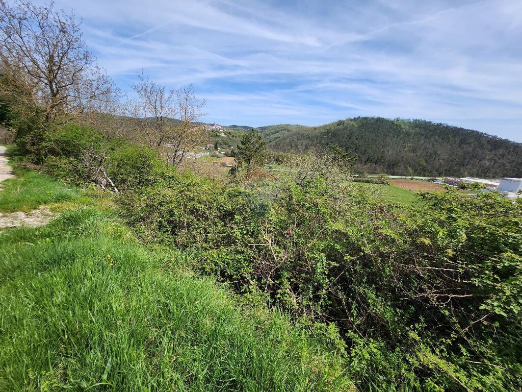 Image 6251577 - 2