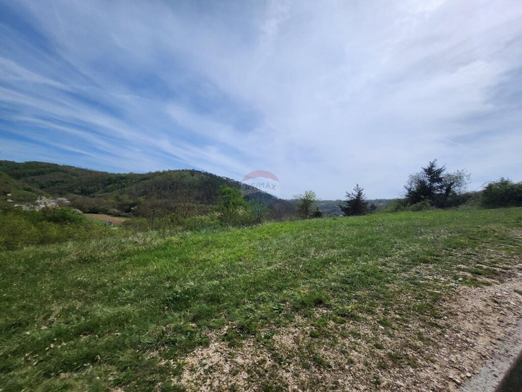 Image 6251577 - 7