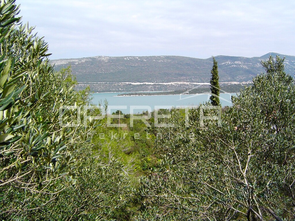 Image 6251776 - 8