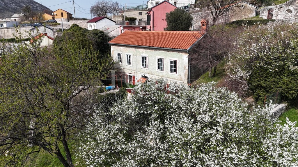 Image 6251835 - 6