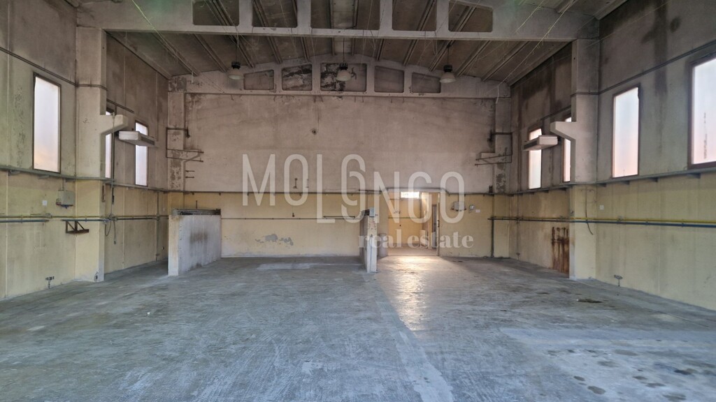Image 6251875 - 1