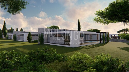 Thumbnail 6251878 - 3