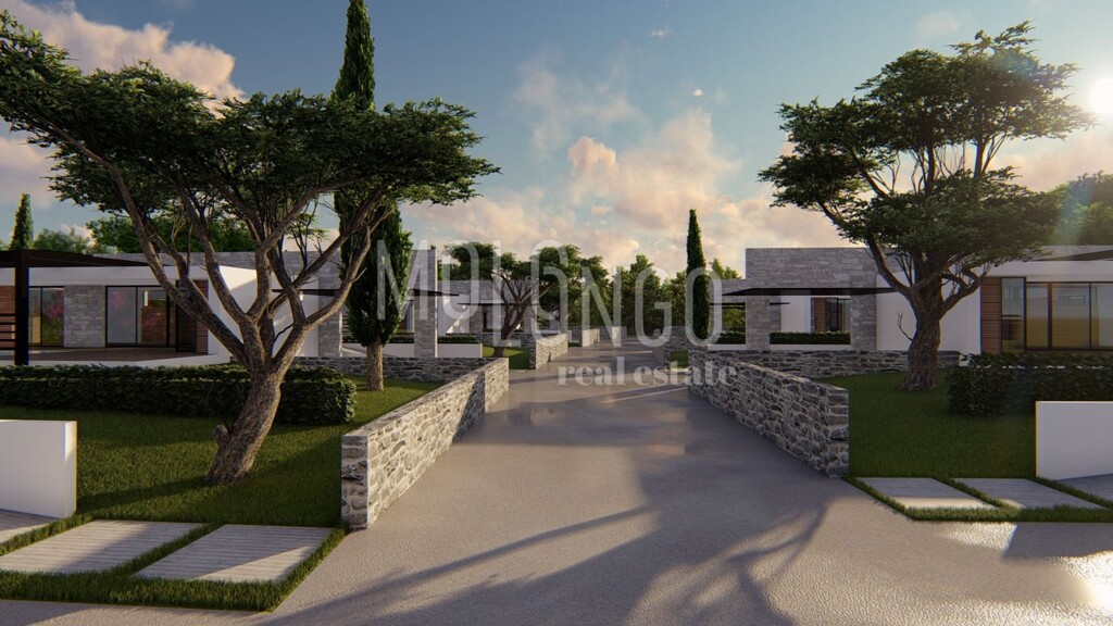 Image 6251878 - 10