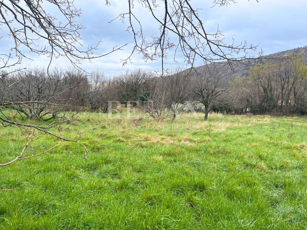 Image 6251884 - 3