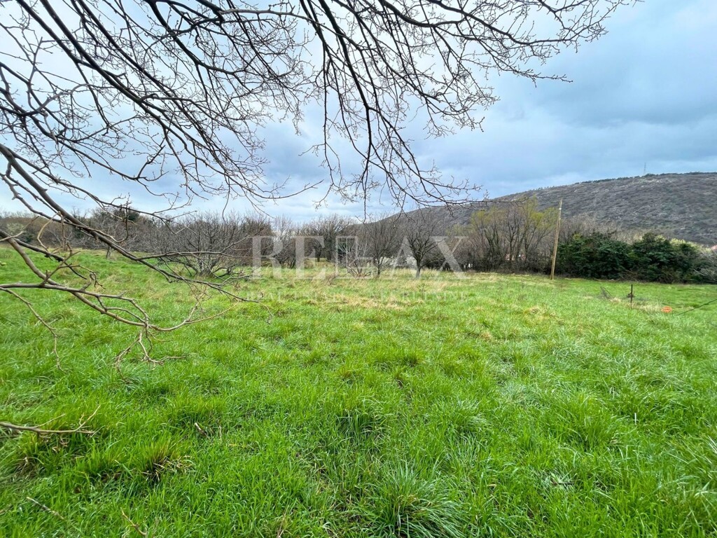 Image 6251884 - 4