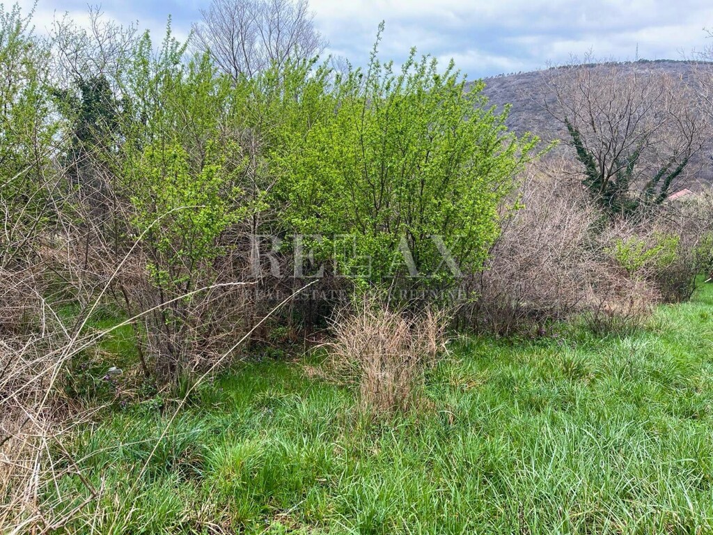Image 6251884 - 2