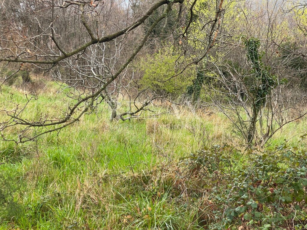 Image 6251885 - 4