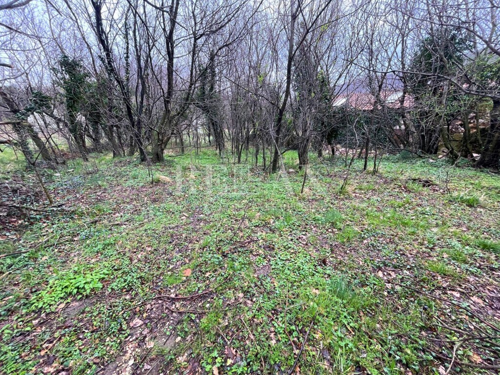 Image 6251886 - 5