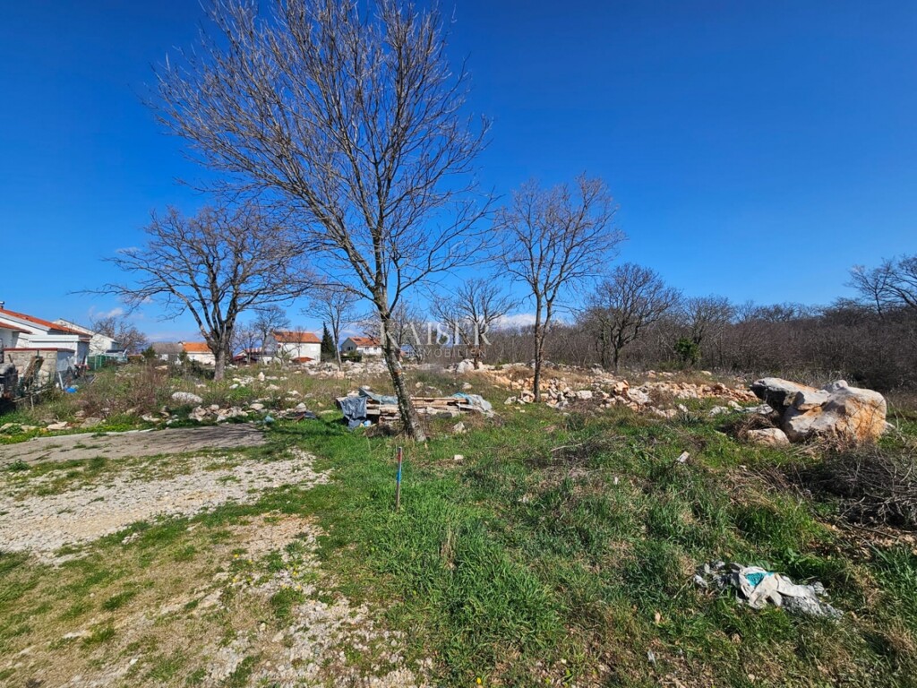 Image 6251890 - 3