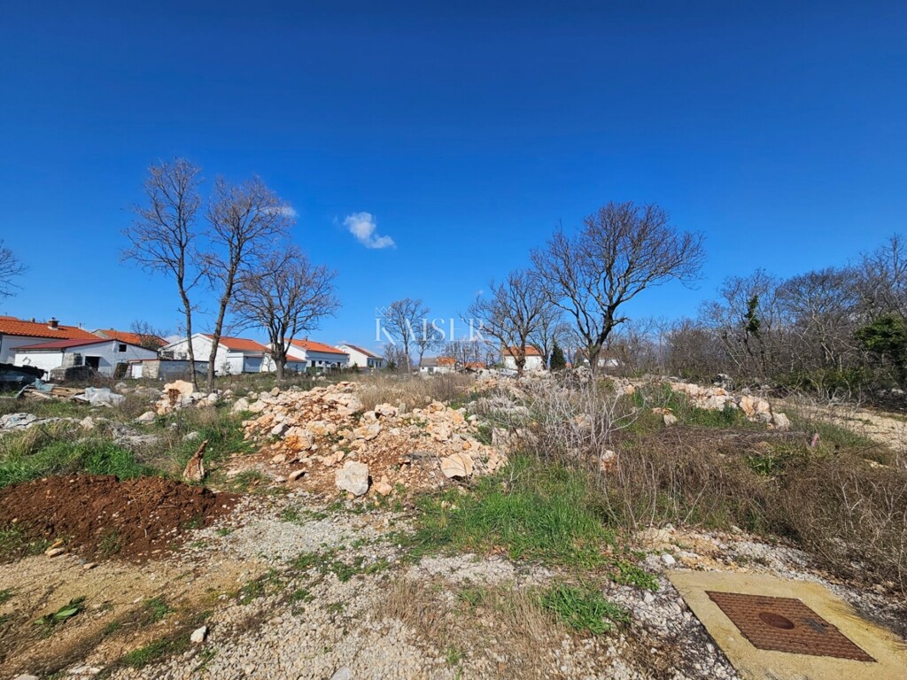 Image 6251890 - 1