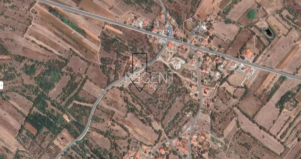 Image 6251902 - 12