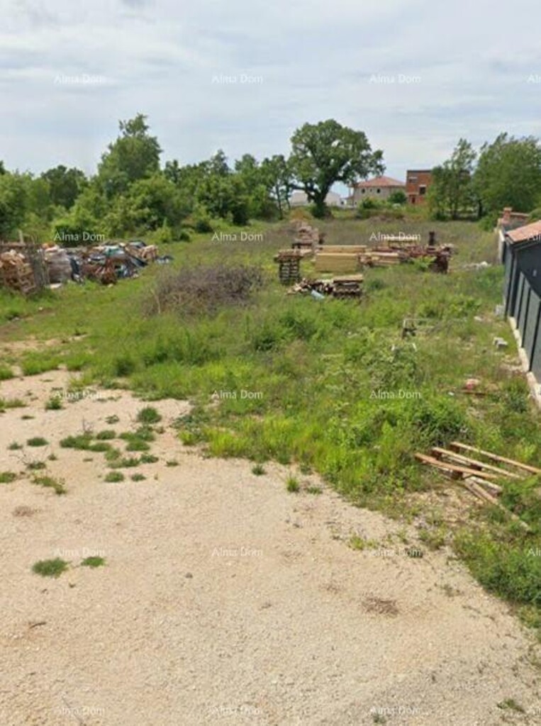 Image 6251913 - 1