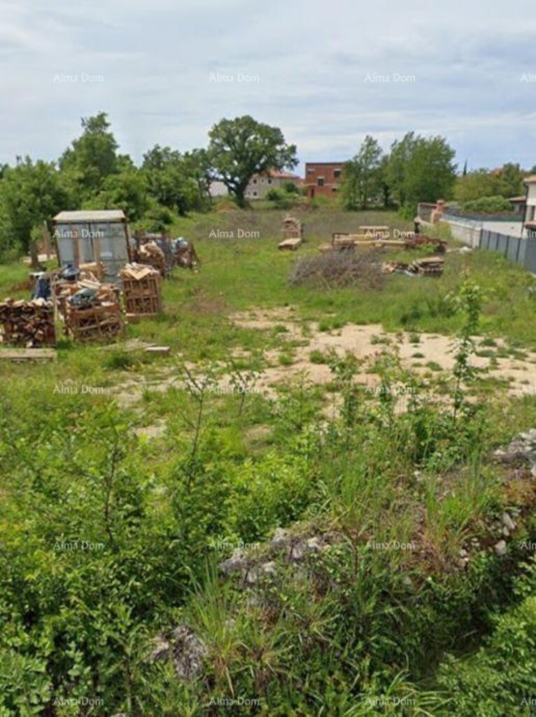 Image 6251913 - 2