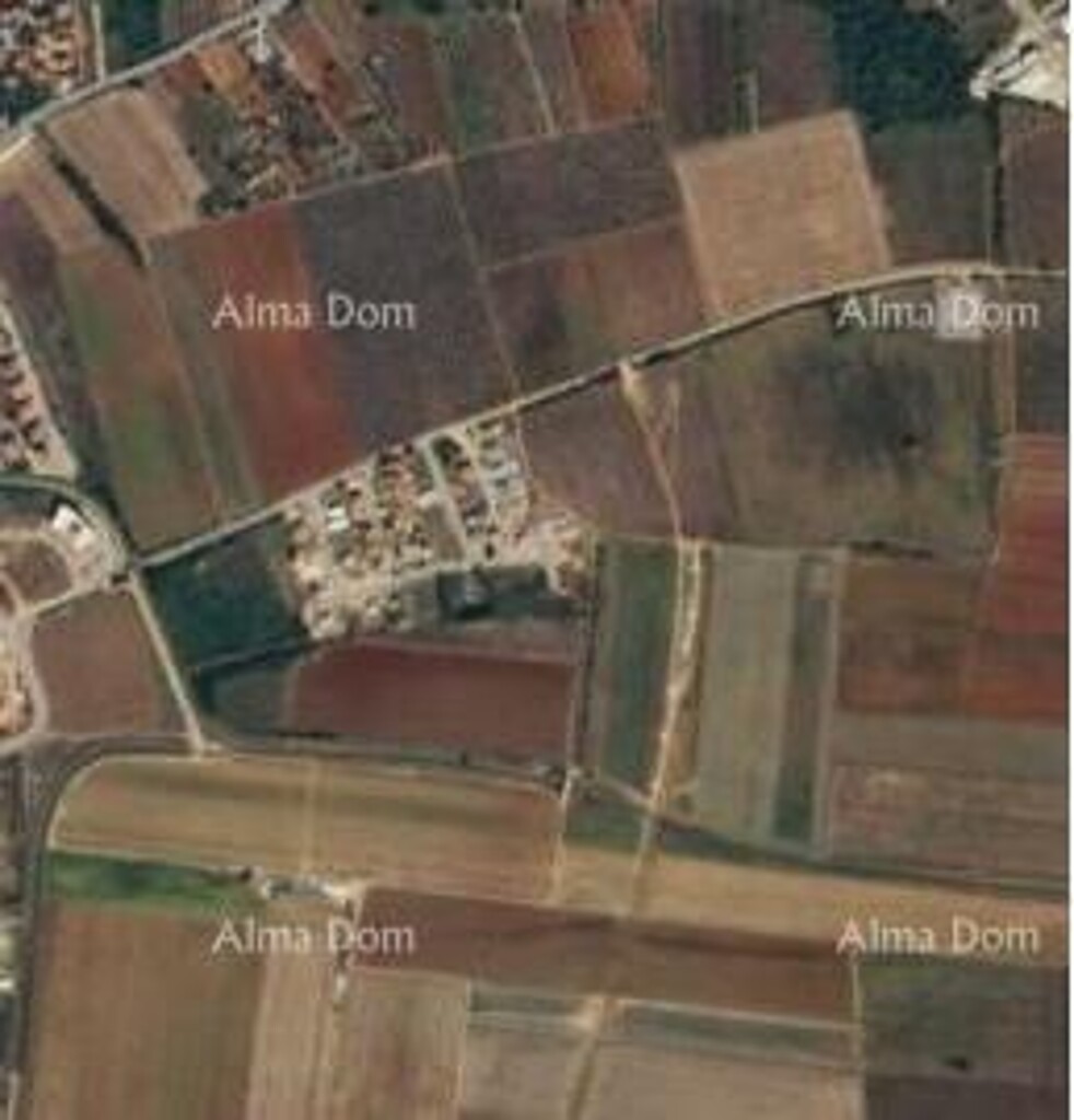 Image 6251925 - 3