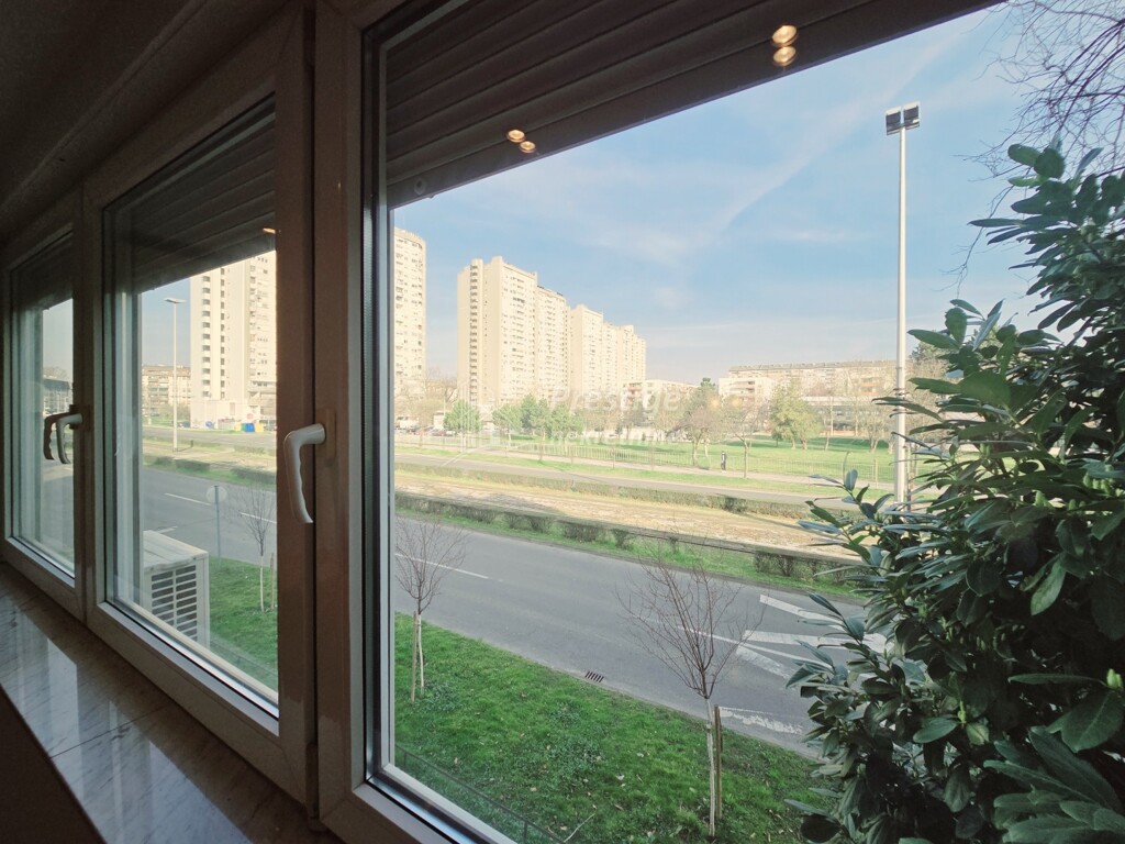 Image 6252090 - 17