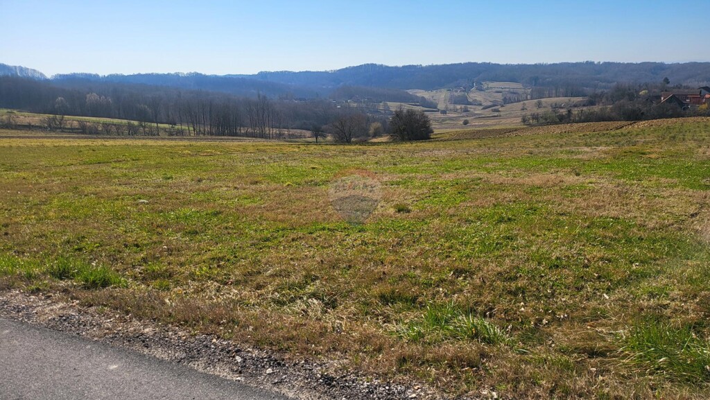 Image 6252101 - 2