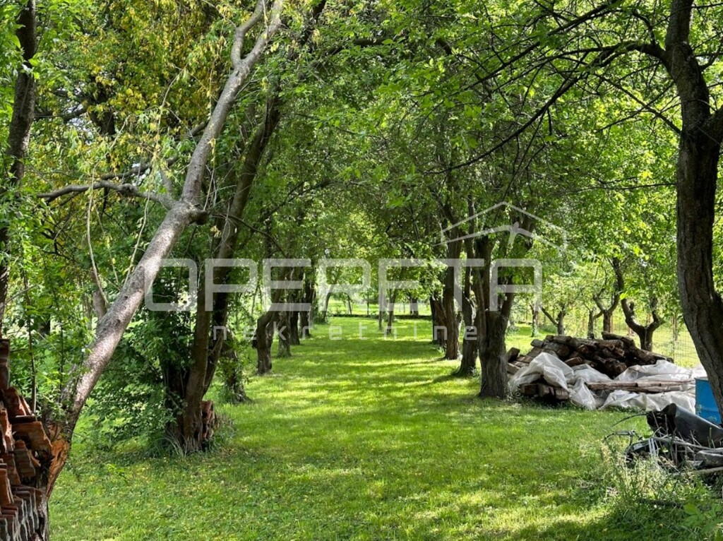 Image 6252365 - 4