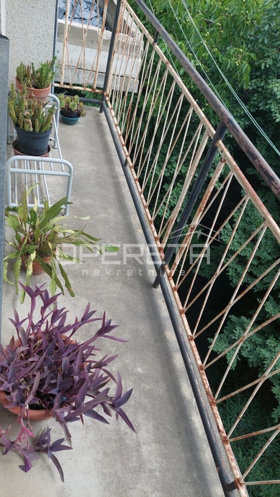 Image 6252366 - 9