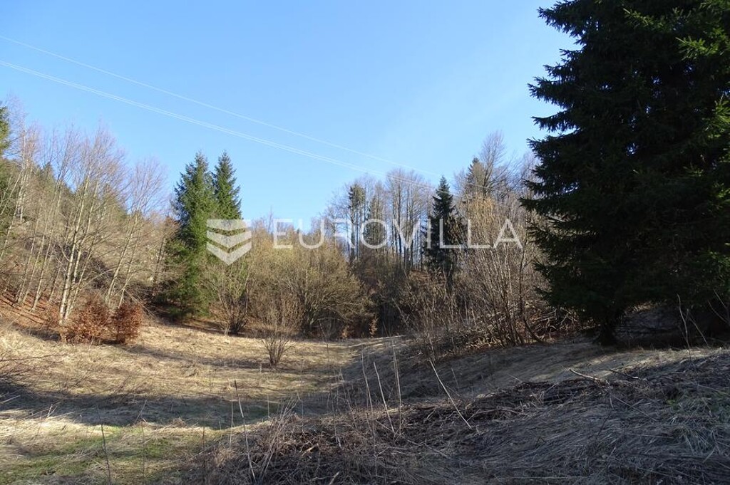 Image 6252484 - 5
