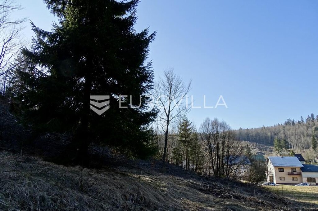 Image 6252495 - 3