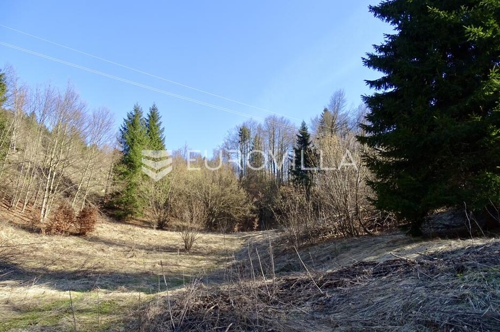 Image 6252495 - 5