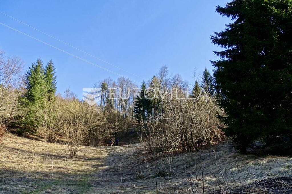 Image 6252495 - 8
